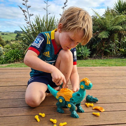 DIY Build & Transform Dinosaur Egg Toy