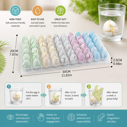 Hatching Dinosaur Egg Kit – Grow-in-Water Dino Eggs with Surprise Toys