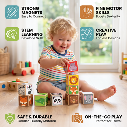 Toddler-Safe 4.2 cm Safari Animal Magnetic Building Cubes – STEM Learning Blocks